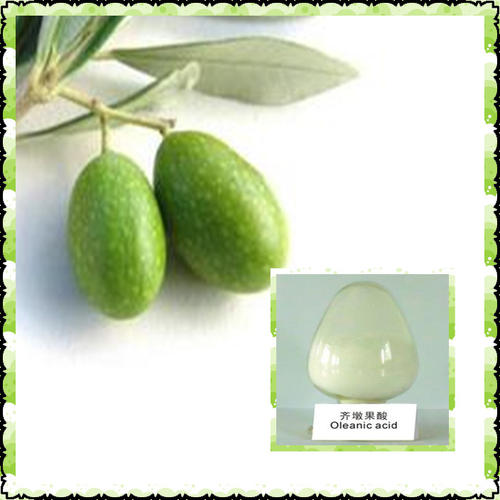 齐墩果酸天然植物提。壑导