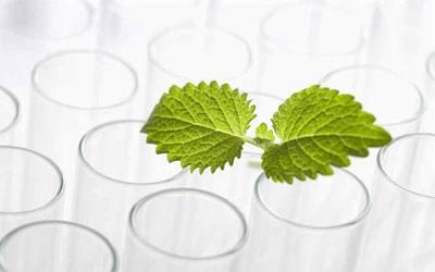 植物提取物应用广泛，潜力巨大，工业发展前景广阔